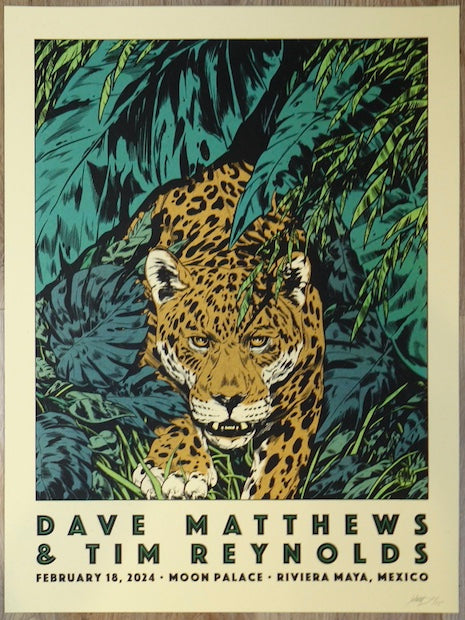 2024 Dave Matthews & Tim Reynolds - Mexico III Concert Poster by Johnny Dombrowski