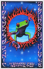 2006 Widespread Panic - Redmond Concert Poster by Everett