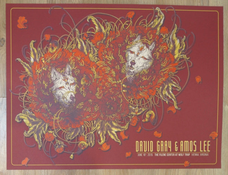 2015 David Gray & Amos Lee - Vienna Silkscreen Concert Poster by Erica Williams